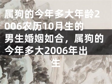 属狗的今年多大年龄2006农历10月生的男生婚姻如合，属狗的今年多大2006年出生