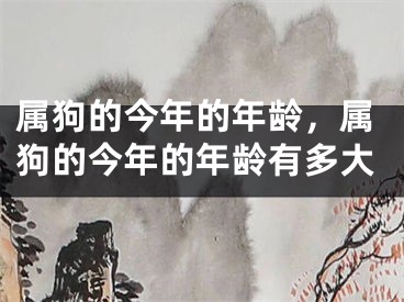 属狗的今年的年龄，属狗的今年的年龄有多大
