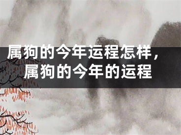 属狗的今年运程怎样，属狗的今年的运程
