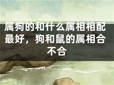 属狗的和什么属相相配最好，狗和鼠的属相合不合