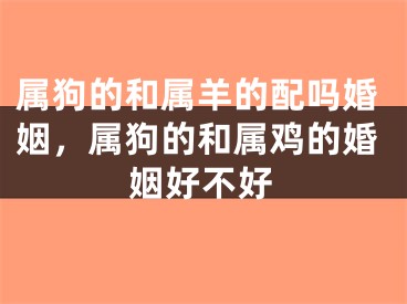 属狗的和属羊的配吗婚姻，属狗的和属鸡的婚姻好不好