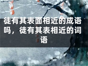 徒有其表面相近的成语吗，徒有其表相近的词语