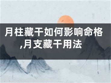 月柱藏干如何影响命格,月支藏干用法