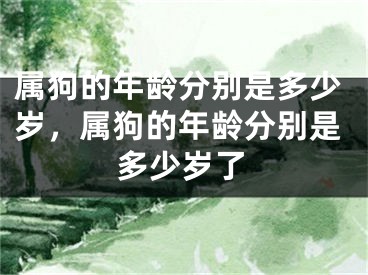 属狗的年龄分别是多少岁,属狗的年龄分别是多少岁了