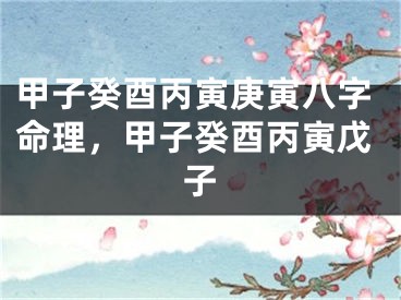甲子癸酉丙寅庚寅八字命理，甲子癸酉丙寅戊子