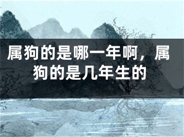 属狗的是哪一年啊，属狗的是几年生的