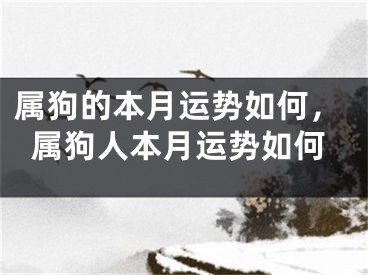 属狗的本月运势如何，属狗人本月运势如何