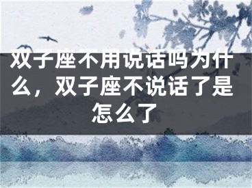 双子座不用说话吗为什么，双子座不说话了是怎么了