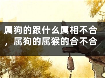 属狗的跟什么属相不合，属狗的属猴的合不合
