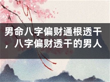 男命八字偏财通根透干，八字偏财透干的男人