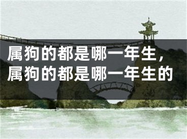 属狗的都是哪一年生，属狗的都是哪一年生的
