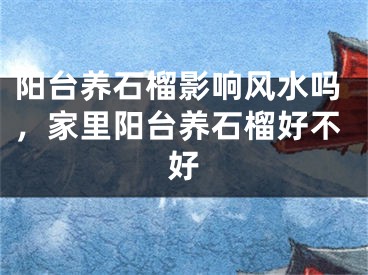 阳台养石榴影响风水吗，家里阳台养石榴好不好