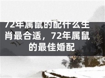 72年属鼠的配什么生肖最合适，72年属鼠的最佳婚配