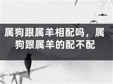 属狗跟属羊相配吗，属狗跟属羊的配不配