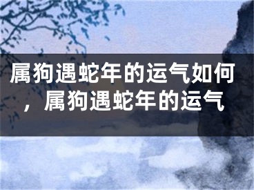 属狗遇蛇年的运气如何，属狗遇蛇年的运气