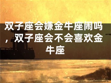 双子座会嫌金牛座闹吗，双子座会不会喜欢金牛座