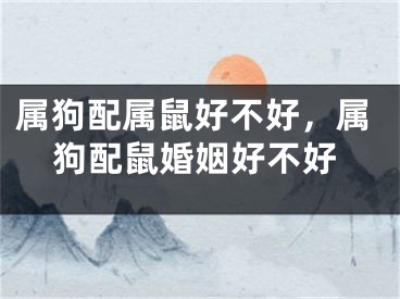 属狗配属鼠好不好，属狗配鼠婚姻好不好