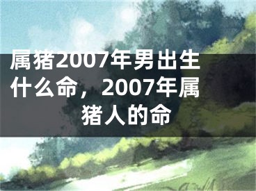 属猪2007年男出生什么命，2007年属猪人的命