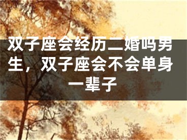 双子座会经历二婚吗男生，双子座会不会单身一辈子