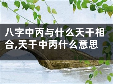 八字中丙与什么天干相合,天干中丙什么意思