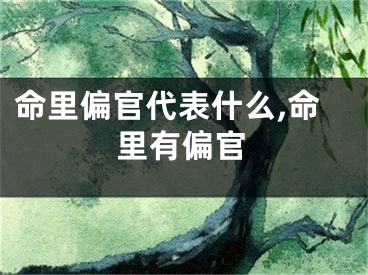 命里偏官代表什么,命里有偏官