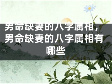 男命缺妻的八字属相，男命缺妻的八字属相有哪些