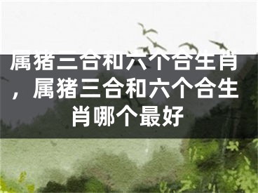 属猪三合和六个合生肖，属猪三合和六个合生肖哪个最好