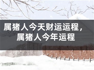 属猪人今天财运运程，属猪人今年运程