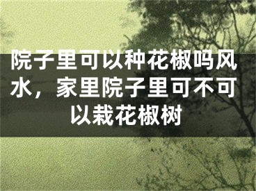 院子里可以种花椒吗风水，家里院子里可不可以栽花椒树