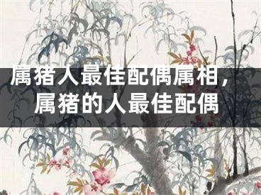 属猪人最佳配偶属相，属猪的人最佳配偶