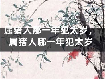 属猪人那一年犯太岁，属猪人哪一年犯太岁