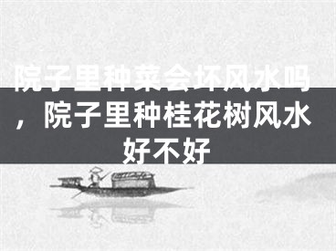 院子里种菜会坏风水吗，院子里种桂花树风水好不好