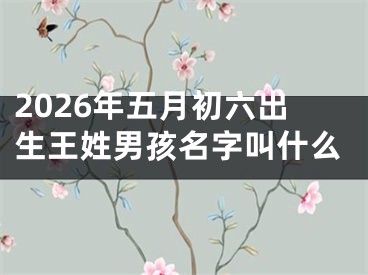 2026年五月初六出生王姓男孩名字叫什么