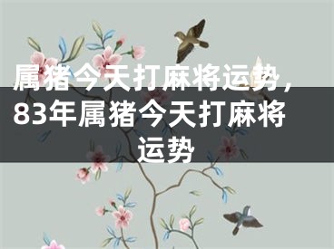 属猪今天打麻将运势，83年属猪今天打麻将运势