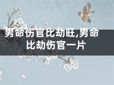 男命伤官比劫旺,男命比劫伤官一片