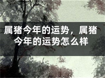 属猪今年的运势，属猪今年的运势怎么样