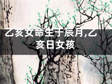 乙亥女命生于辰月,乙亥日女孩