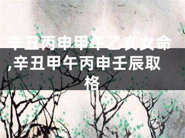 辛丑丙申甲午乙亥女命,辛丑甲午丙申壬辰取格