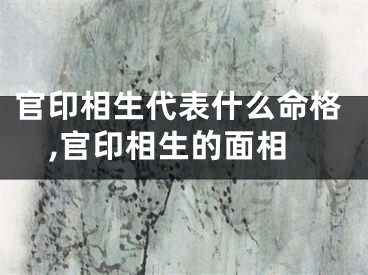 官印相生代表什么命格,官印相生的面相