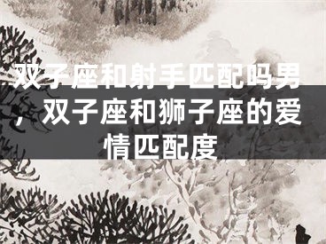 双子座和射手匹配吗男，双子座和狮子座的爱情匹配度