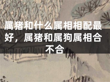 属猪和什么属相相配最好，属猪和属狗属相合不合