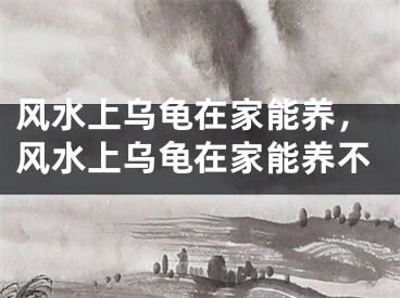 风水上乌龟在家能养，风水上乌龟在家能养不