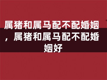 属猪和属马配不配婚姻，属猪和属马配不配婚姻好