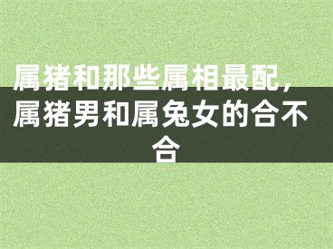 属猪和那些属相最配，属猪男和属兔女的合不合