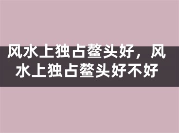 风水上独占鳌头好，风水上独占鳌头好不好