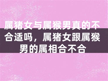 属猪女与属猴男真的不合适吗，属猪女跟属猴男的属相合不合
