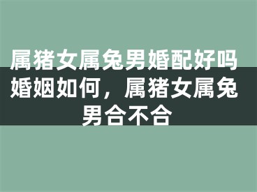 属猪女属兔男婚配好吗婚姻如何，属猪女属兔男合不合