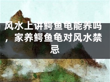 风水上讲鳄鱼龟能养吗，家养鳄鱼龟对风水禁忌