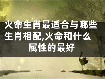 火命生肖最适合与哪些生肖相配,火命和什么属性的最好