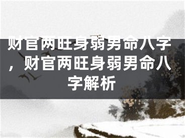 财官两旺身弱男命八字，财官两旺身弱男命八字解析